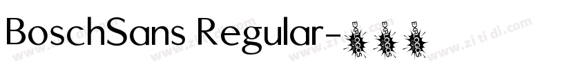 BoschSans Regular字体转换